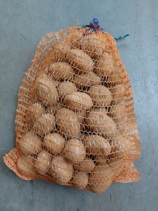Bild von 3 kg Kartoffel Ditta (festkochend)