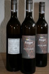 Picture of BIO Wein Muscaris 0,75L