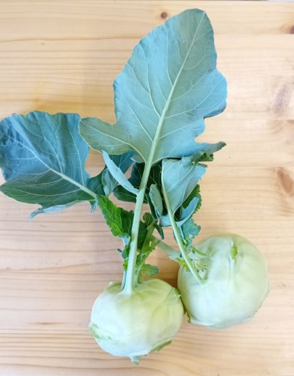 Bild von Kohlrabi p.Stk