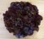 Bild von Salat rot