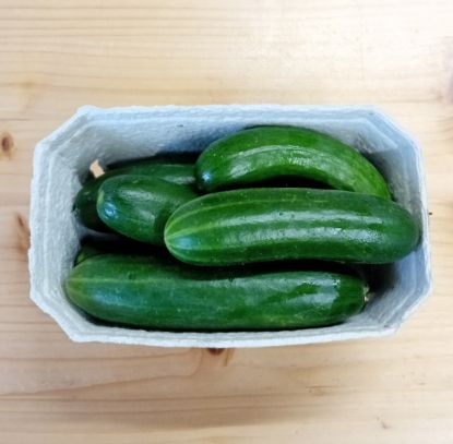 Bild von Snack Gurken 0,5 kg