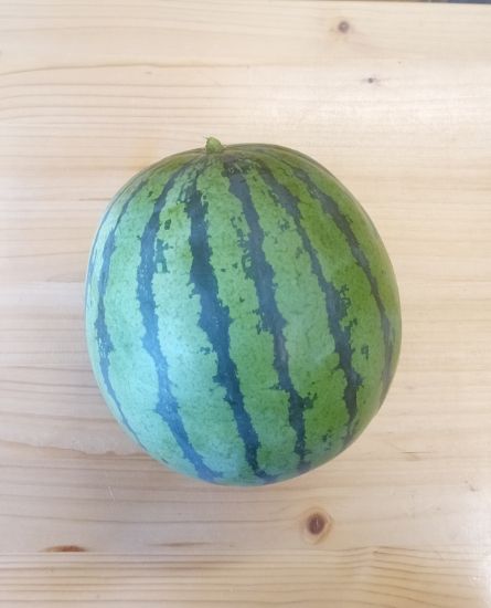 Picture of Mini Wassermelonen p.Stk.