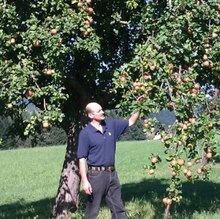 Bild für Moakt- Betrieb Biohof Wiedenhofer - Familie Geiregger