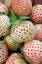 Picture of -50% Weiße Erdbeeren